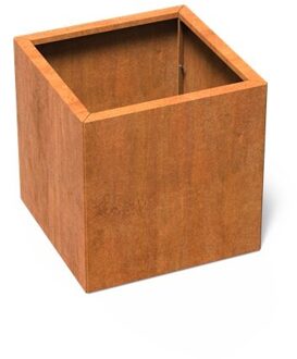 Carrez Connect cortenstaal 70 x 70 x h. 70 cm plantenbak
