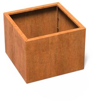 Carrez Connect cortenstaal 80 x 80 x h. 60 cm plantenbak