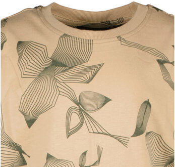 Cars Belfast Grijs - XL