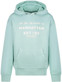 Cars jongens hoodie Mint - 176