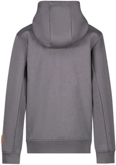 Cars jongens vest Grijs - 164