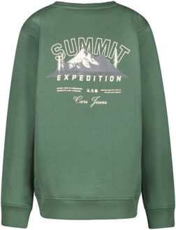 Cars Sweat 2737346 taray Groen - 176