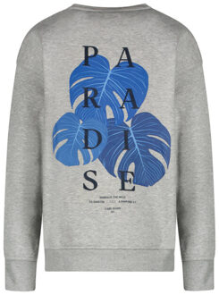 Cars Sweat 3246553 Grijs - 140