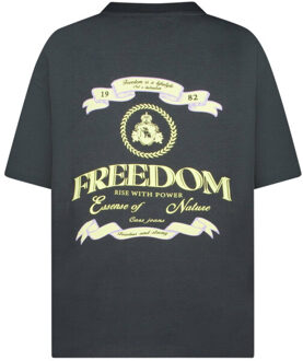 Cars T-shirt 51371 nazuro Grijs - 176