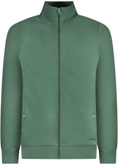 Cars Vest TAYLEN groen - S;M;L;XL