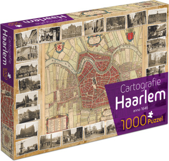 Cartografie Haarlem (1000)