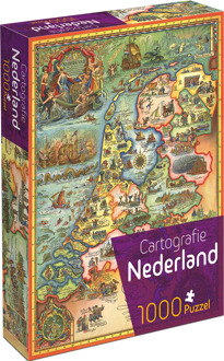 Cartografie Nederland (1000 stukjes)
