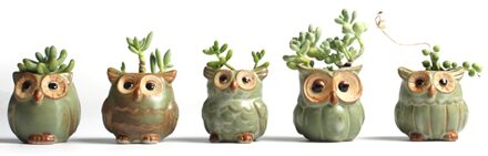 Cartoon Uil Vormige Vetplant Keramische Bloempot Woondecoratie Willekeurige Stijlen Levering Potplanten