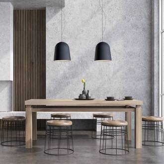 CASABLANCA Clavio hanglamp 2-lamps antraciet/zwart antraciet, zwart