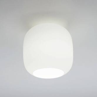 CASABLANCA Murea plafondlamp, opaalwit, Ø 25 cm wit opaal mat, aluminium geborsteld