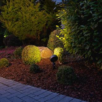 Cassian LED grondspies lamp antraciet