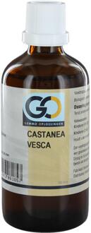 Castanea Vesca 100 ml