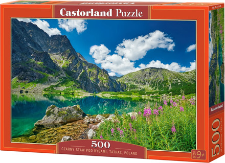 Castorland Black Pond below Rysy Tatra Poland Puzzel (500 stukjes)