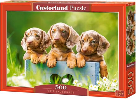 Castorland Cute Dachshunds Puzzel (500 stukjes)