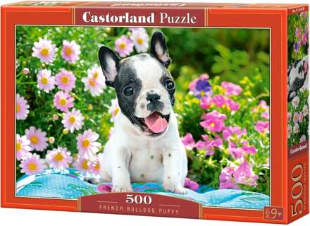 Castorland French Bulldog Puppy Puzzel (500 stukjes)