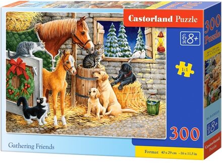 Castorland legpuzzel Gathering friends 300 stukjes