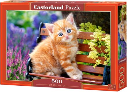 Castorland Legpuzzel Ginger Kitten 500 Stukjes