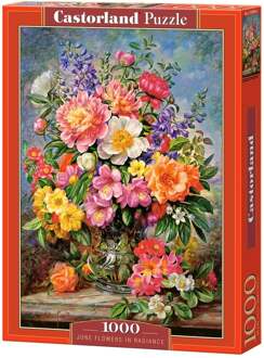 Castorland legpuzzel June Flowers in Radiance 1000 stukjes