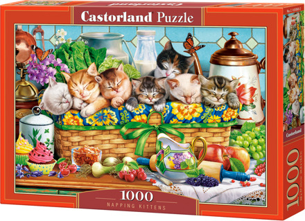 Castorland Napping Kittens Puzzel (1000 stukjes)