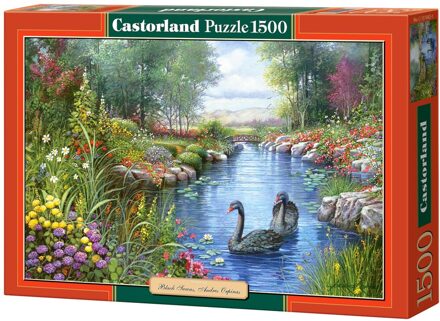 Castorland puzzel black swans Andres Orpinas - 1500 stukjes