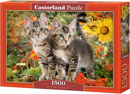 Castorland puzzel Kitten Buddies 68 cm karton 1500 stukjes