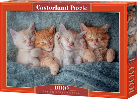 Castorland The Sweetest Kittens Puzzel (1000 stukjes)