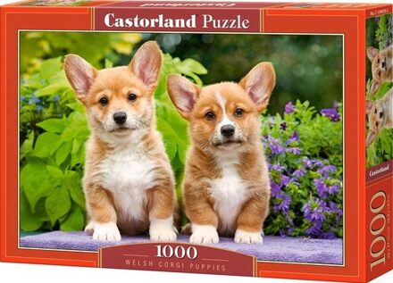 Castorland Welsh Corgi Puppies Puzzel (1000 stukjes)
