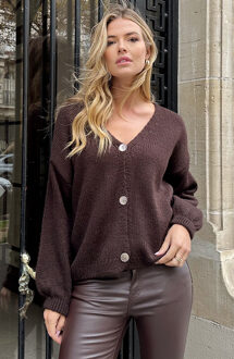 Casual Long Sleeve Cardigan Choco Bruin