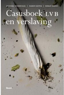 Casusboek LVB en verslaving - Boek Joanneke van der Nagel (9024404959)