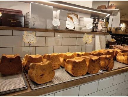 Cat Head Toast Cake Mold Non Stick Bread Mold Mousse Cheesecake Sustainable Patisserie Kitchen Tool J99Store