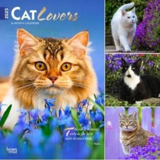 Cat Lovers 2025 12 X 24 Inch Monthly Square Wall Calendar Foil Stamped Cover Plastic-Free - Browntrout
