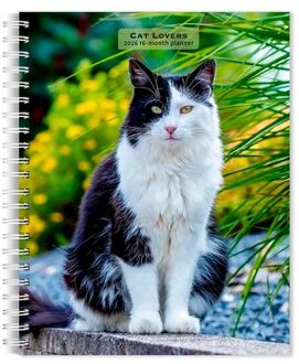 Cat Lovers 2026 6 X 7.75 Inch Spiral-Bound Wire-O Weekly Engagement Planner Calendar New Full-Color - Browntrout