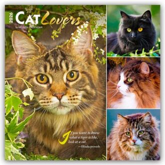 Cat Lovers - Katzenliebhaber 2026 - 16-Monatskalender - Browntrout Wandkalender - Browntrout Publishers