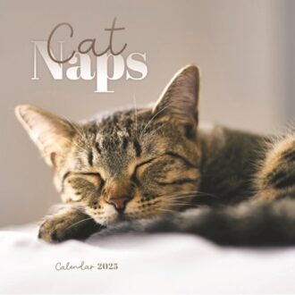 Cat Naps Square Mini Calendar 2025 - Calendars, Carousel