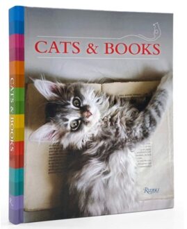 Cats And Books - Universe Universe
