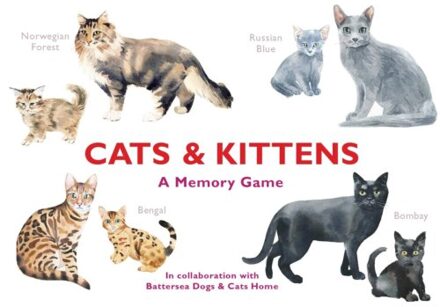 Cats & Kittens - Boek BIS Publishers BV (1786272261)