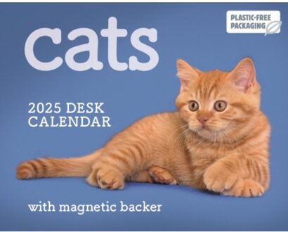 Cats Mini Box Calendar 2025 - Calendars, Carousel