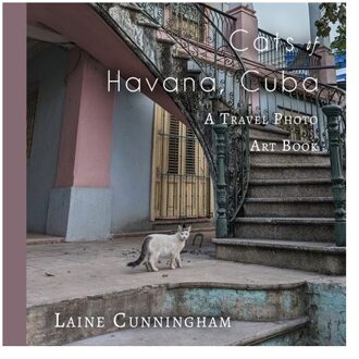 Cats Of Havana, Cuba - Travel Photo Art - Laine Cunningham