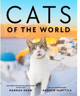 Cats Of The World - Hannah Shaw
