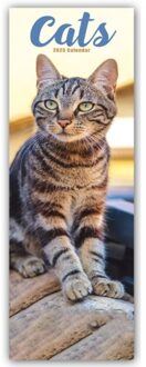 Cats Slim Calendar 2025 Cute Slimline Calendar - 12 Month - Slimline-Kalender (Browntrout) - Avonside Publishing Ltd