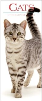 Cats Slim Calendar 2025 - Media, Gladstone