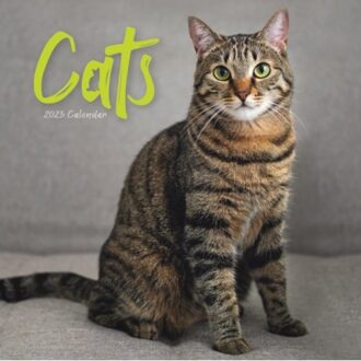 Cats Wiro Wall Calendar 2025 - Calendars, Carousel