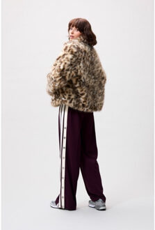 Catwalk Junkie 250227 leopard fur jacket Taupe - 34