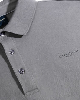 Cavallaro Cavallaro basso polo long sleeve Grijs