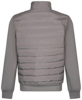 Cavallaro Cavallaro jack Grijs - M