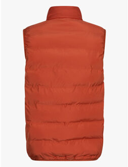 Cavallaro Gavigio bodywarmers 112251000 Oranje - M