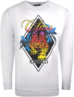 Cavalli Class Diamond Tiger Design wit sweatshirt