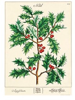 Cavallini & co kerst poster vintage - holly
