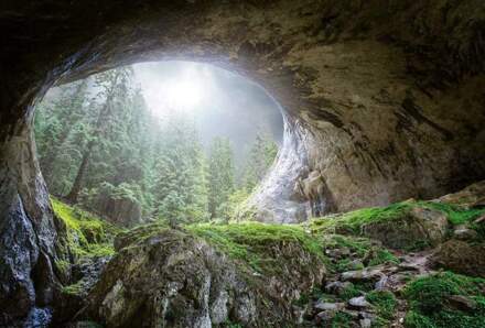 Cave In The Forest Vlies Fotobehang 384x260cm 8-banen