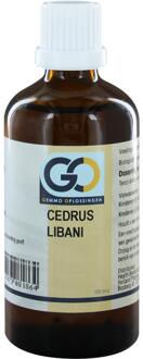 Cedrus Libani 100 ml